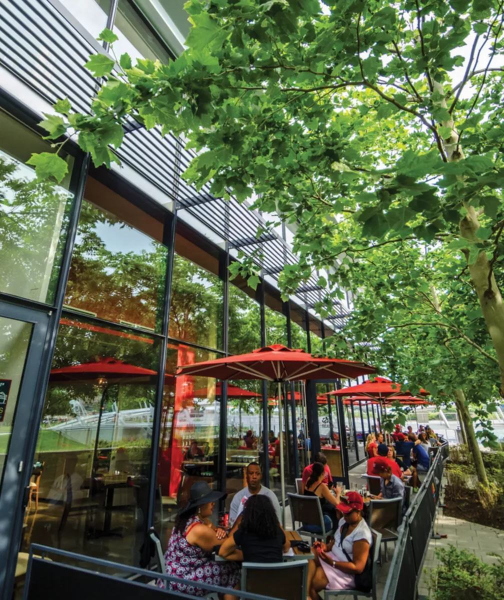 Outdoor sidewalk dining with tables under umbrellas along a tree‑lined street.